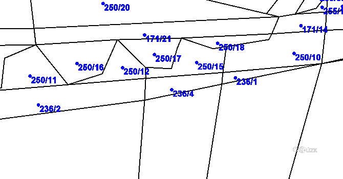 Parcela st. 236/4 v KÚ Tříklasovice, Katastrální mapa