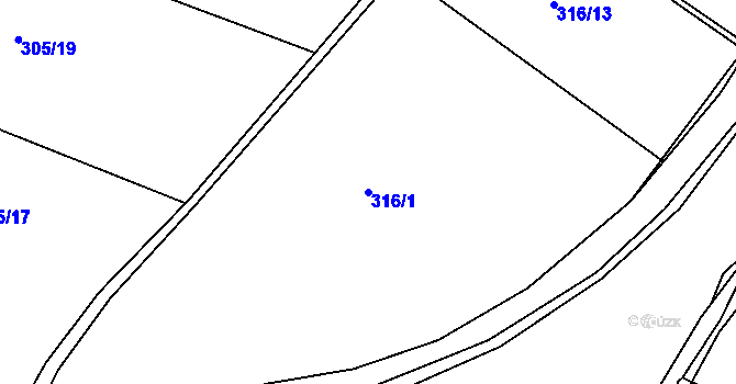 Parcela st. 316/1 v KÚ Psinice, Katastrální mapa