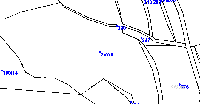 Parcela st. 262/1 v KÚ Kolešov u Žlutic, Katastrální mapa