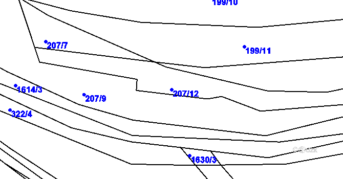 Parcela st. 207/12 v KÚ Ptenín, Katastrální mapa