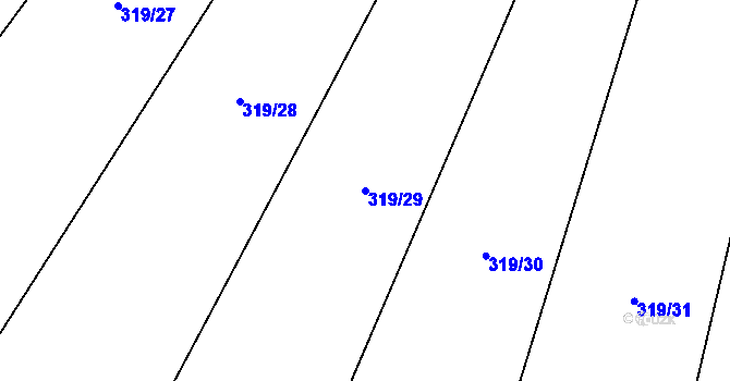 Parcela st. 319/29 v KÚ Ptenín, Katastrální mapa
