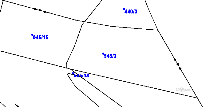 Parcela st. 545/3 v KÚ Ptýrov, Katastrální mapa