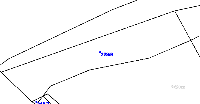 Parcela st. 229/9 v KÚ Purkarec, Katastrální mapa