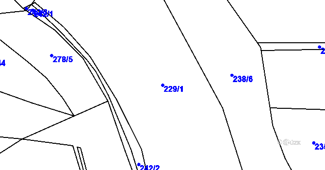 Parcela st. 229/1 v KÚ Purkarec, Katastrální mapa