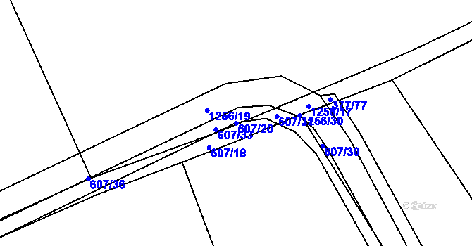 Parcela st. 607/20 v KÚ Pustá Kamenice, Katastrální mapa