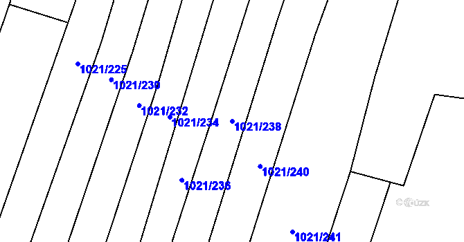 Parcela st. 1021/238 v KÚ Pustá Polom, Katastrální mapa