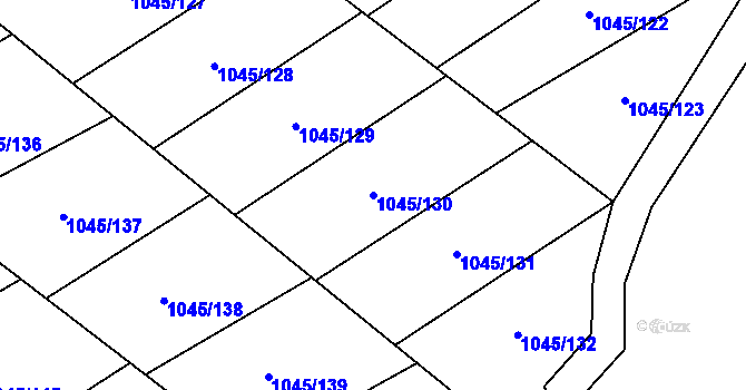 Parcela st. 1045/130 v KÚ Pustějov, Katastrální mapa