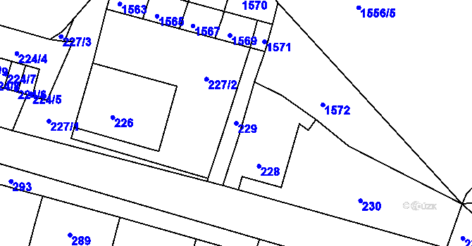 Parcela st. 229 v KÚ Pustiměř, Katastrální mapa