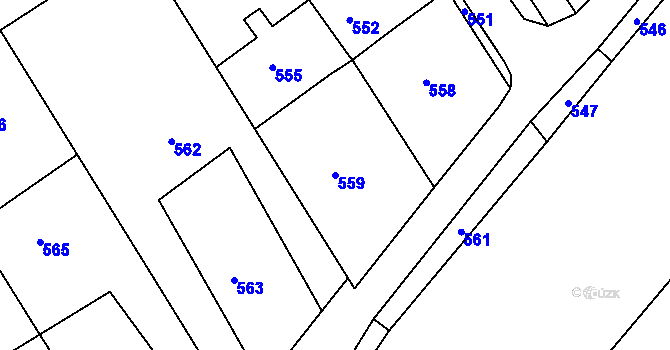 Parcela st. 559 v KÚ Pustiměř, Katastrální mapa