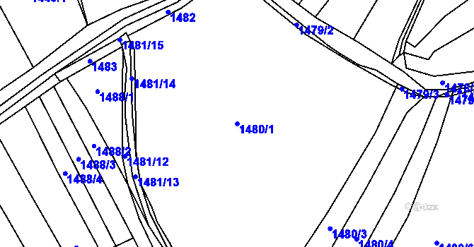 Parcela st. 1480/1 v KÚ Pustiměř, Katastrální mapa
