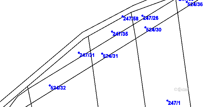 Parcela st. 524/31 v KÚ Pustověty, Katastrální mapa
