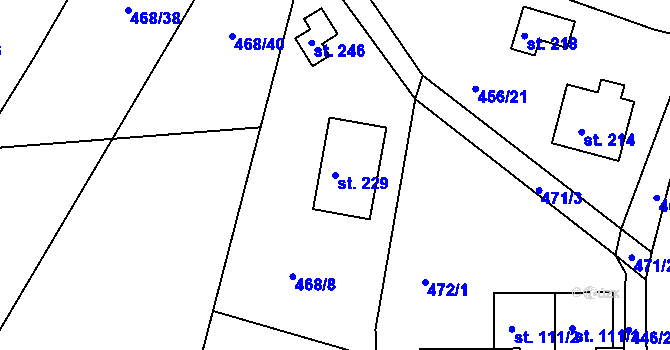 Parcela st. 229 v KÚ Smrkový Týnec, Katastrální mapa