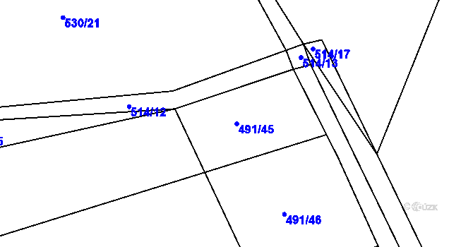 Parcela st. 491/45 v KÚ Kunětice, Katastrální mapa