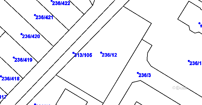 Parcela st. 236/12 v KÚ Němčice nad Labem, Katastrální mapa