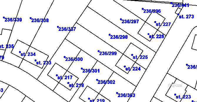 Parcela st. 236/299 v KÚ Němčice nad Labem, Katastrální mapa