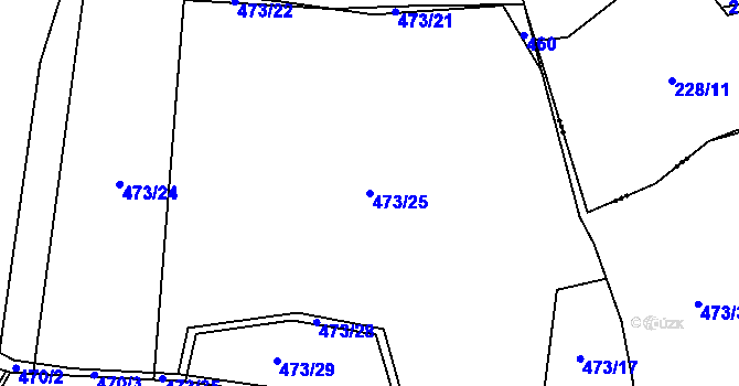 Parcela st. 473/25 v KÚ Rabyně, Katastrální mapa