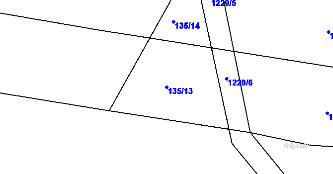Parcela st. 135/13 v KÚ Račerovice, Katastrální mapa