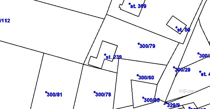 Parcela st. 239 v KÚ Račice nad Berounkou, Katastrální mapa