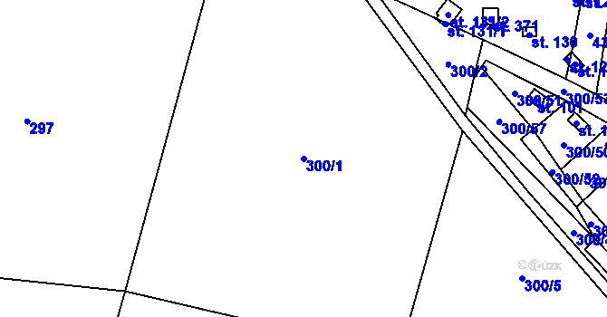 Parcela st. 300/1 v KÚ Račice nad Berounkou, Katastrální mapa