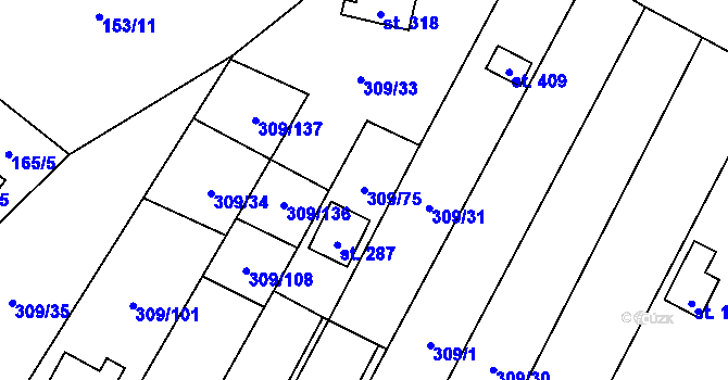 Parcela st. 309/75 v KÚ Račice nad Berounkou, Katastrální mapa
