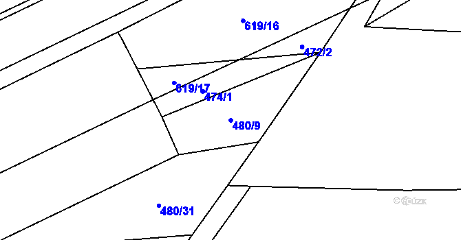 Parcela st. 480/9 v KÚ Račice u Štětí, Katastrální mapa