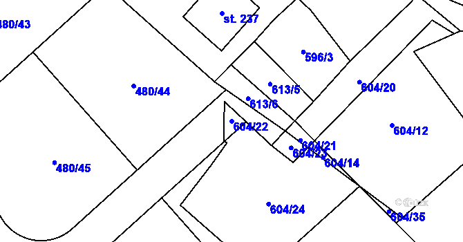 Parcela st. 604/22 v KÚ Račice u Štětí, Katastrální mapa