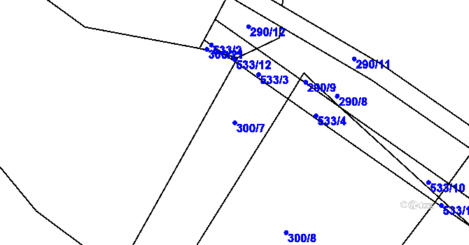 Parcela st. 300/7 v KÚ Račice u Dlouhého, Katastrální mapa