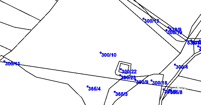 Parcela st. 300/10 v KÚ Račice u Dlouhého, Katastrální mapa