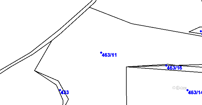 Parcela st. 463/11 v KÚ Račice u Dlouhého, Katastrální mapa