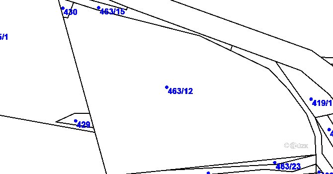 Parcela st. 463/12 v KÚ Račice u Dlouhého, Katastrální mapa