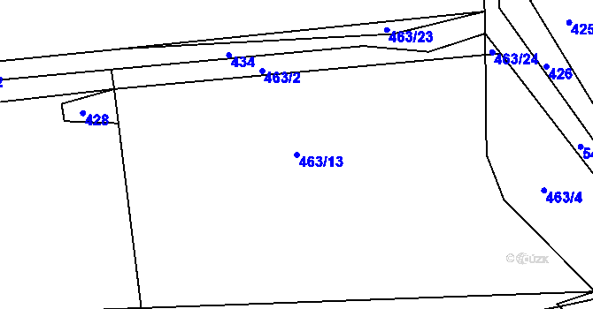 Parcela st. 463/13 v KÚ Račice u Dlouhého, Katastrální mapa