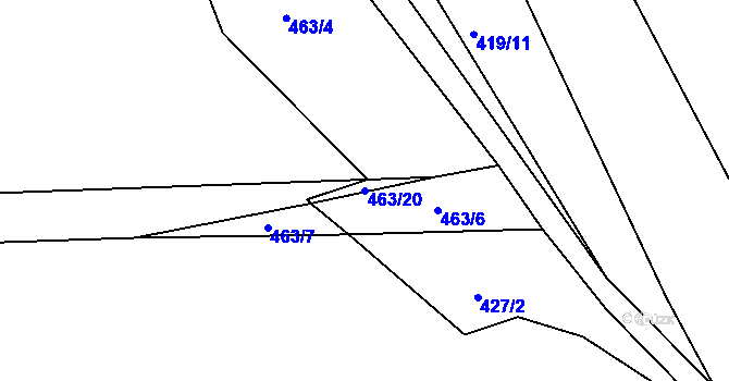 Parcela st. 463/20 v KÚ Račice u Dlouhého, Katastrální mapa