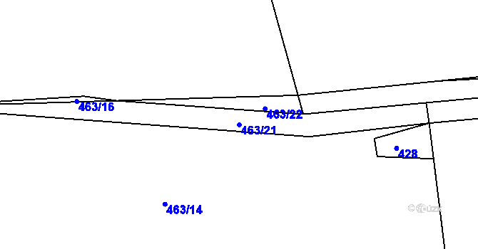 Parcela st. 463/21 v KÚ Račice u Dlouhého, Katastrální mapa