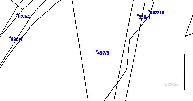 Parcela st. 497/3 v KÚ Račice u Dlouhého, Katastrální mapa