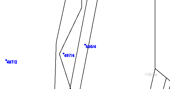 Parcela st. 556/4 v KÚ Račice u Dlouhého, Katastrální mapa