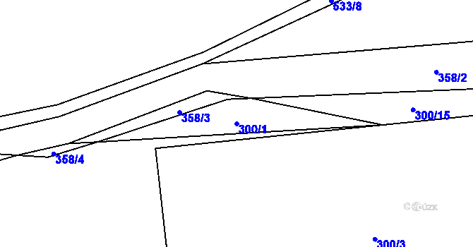 Parcela st. 300/1 v KÚ Račice u Dlouhého, Katastrální mapa