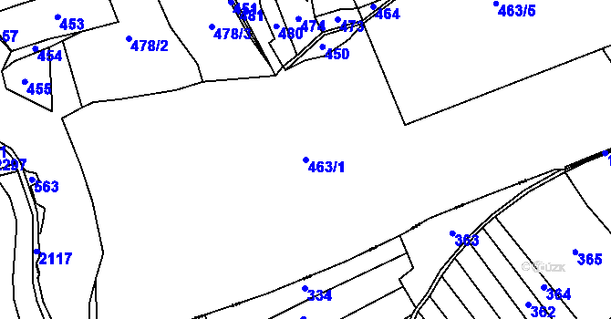 Parcela st. 463/1 v KÚ Račice u Dlouhého, Katastrální mapa