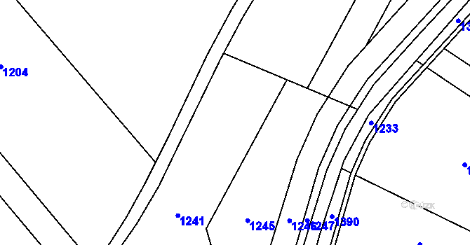 Parcela st. 119/1 v KÚ Račice nad Trotinou, Katastrální mapa