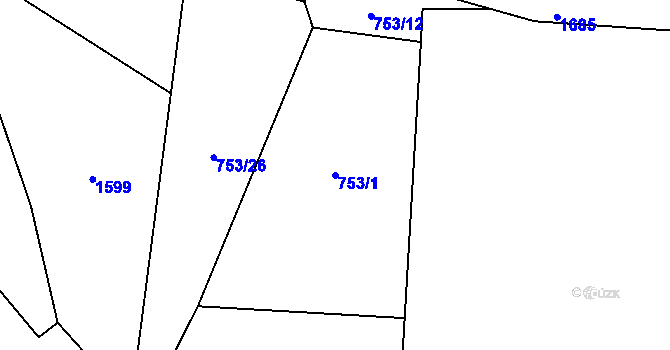 Parcela st. 753/1 v KÚ Račice nad Trotinou, Katastrální mapa