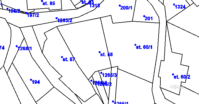 Parcela st. 58 v KÚ Radčice u Skutče, Katastrální mapa