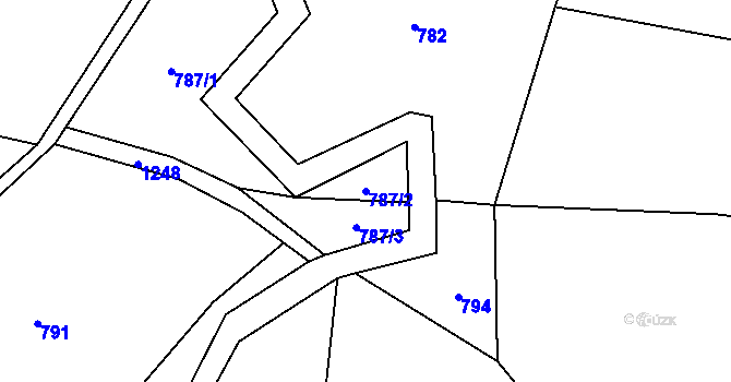 Parcela st. 787/2 v KÚ Radčice u Skutče, Katastrální mapa