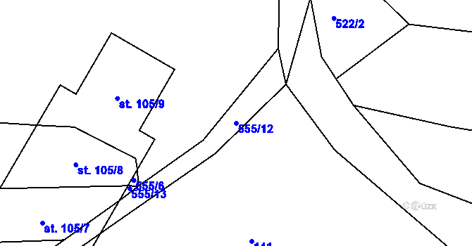 Parcela st. 555/12 v KÚ Radčice u Skutče, Katastrální mapa