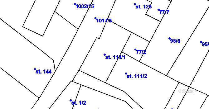 Parcela st. 111/1 v KÚ Radenín, Katastrální mapa