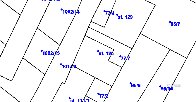 Parcela st. 125 v KÚ Radenín, Katastrální mapa