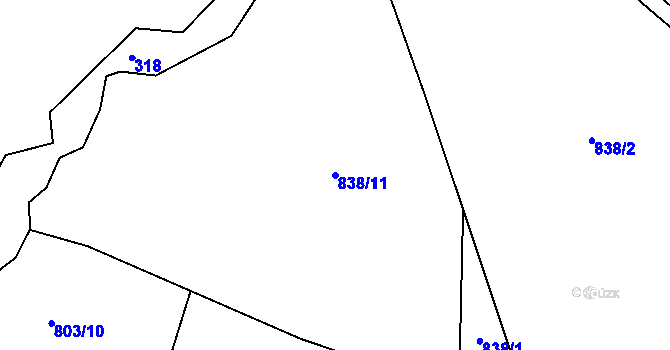 Parcela st. 838/11 v KÚ Radenín, Katastrální mapa