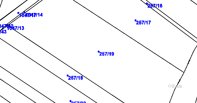 Parcela st. 257/19 v KÚ Radenín, Katastrální mapa