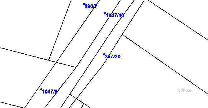 Parcela st. 257/20 v KÚ Radenín, Katastrální mapa