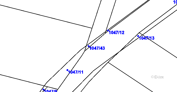 Parcela st. 1047/43 v KÚ Radenín, Katastrální mapa