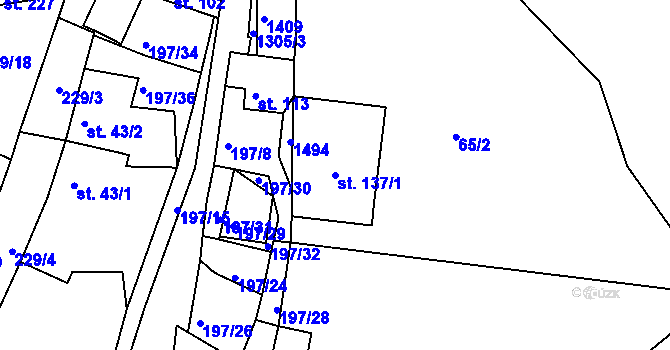 Parcela st. 137/1 v KÚ Radešínská Svratka, Katastrální mapa