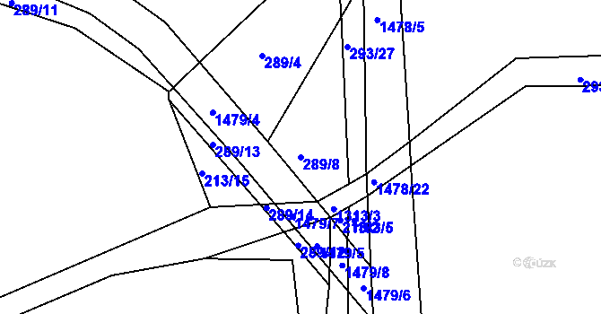 Parcela st. 289/8 v KÚ Radešínská Svratka, Katastrální mapa